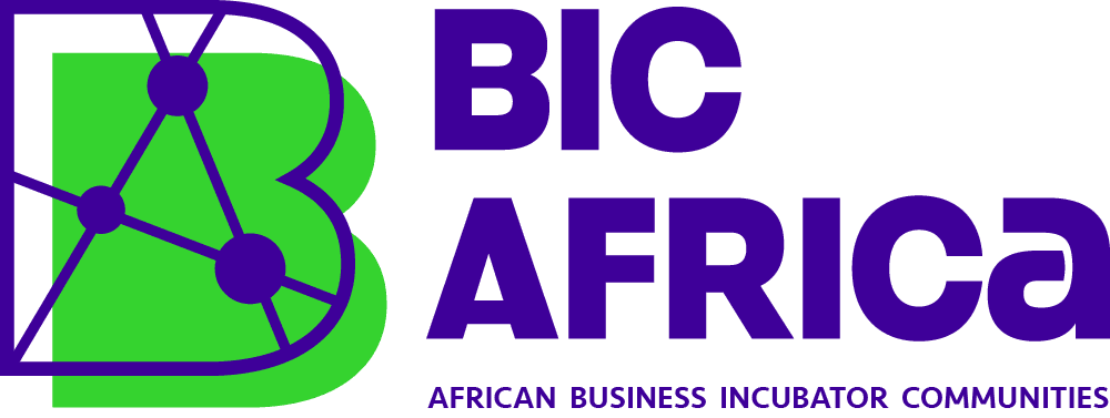 BIC Africa logo